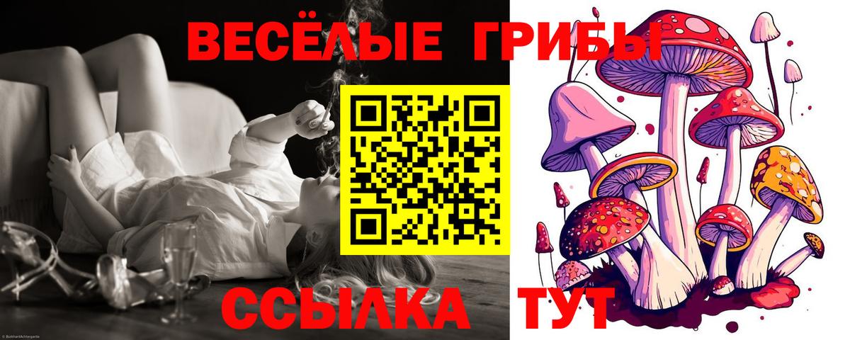 закладки  Галлюциногенные грибы MAGIC MUSHROOMS  Галлюциногенные грибы ЛСД  Вход с VPN  Боровичи 