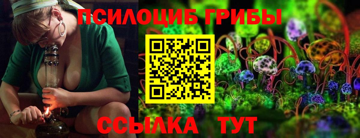 Псилоцибиновые грибы мухоморы Боровичи