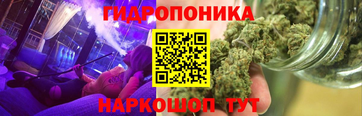 Канабис SATIVA & INDICA Боровичи